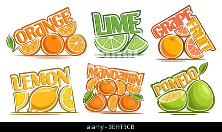 Vector Citrus Fruit Set, collection of 6 isolated compositions of juicy exotic fruits with colorful text, group of cartoon design whole and parts vari Stock Vector