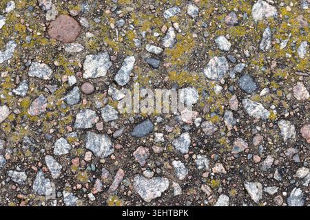 Close-up of gravel pavement showing mixed stones, pebbles and yellow-green moss creating a rough, earthy texture ideal for backgrounds, design project Stock Photo