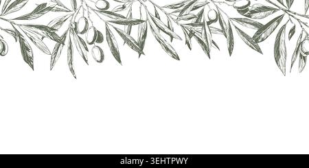 Olive twigs with berries and leaves, hand-sketched. vector illustration. Spring garden branches on a seamless horizontal border, the pattern is isolat Stock Vector