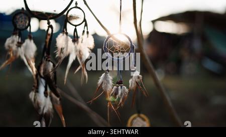 Dreamcatchers with feathers hanging from a tree branch, filtering warm sunset light Stock Photo