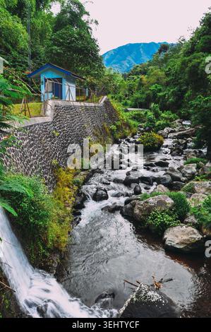 A small river stream in Indonesia flows through a lush, green landscape. The banks are lined with dense foliage and large rocks, creating a natural pa Stock Photo