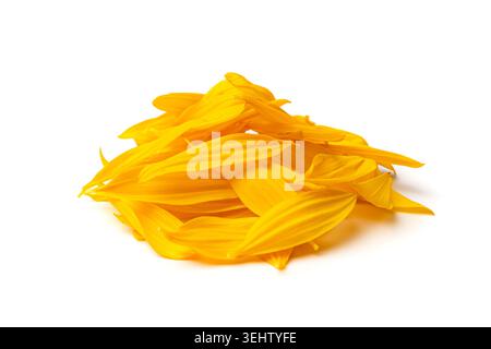 Yellow Petals Isolated, Sunflower Petal Pile Group, Orange Blossom Design, Yellow Petals on White Background Stock Photo