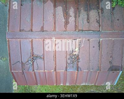 Overhead view of a weathered, rusty corrugated metal roof on a shed, showing signs of wear and debris and water accumulation after a storm. Stock Photo