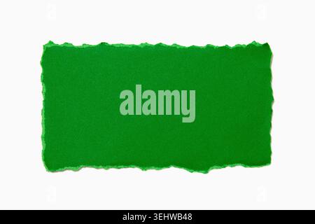 Green torn paper on white background Stock Photo