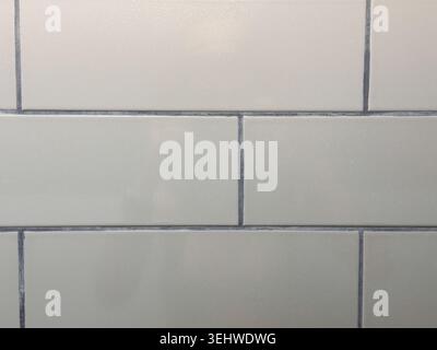 Close-up of a white brick wall showing a mix of smooth and rough textures under soft natural lighting. Stock Photo
