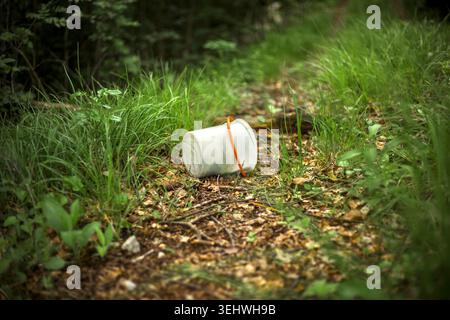 White plastic bucket with an orange handle abandoned on a narrow dirt path surrounded by green forest grass. Stock Photo