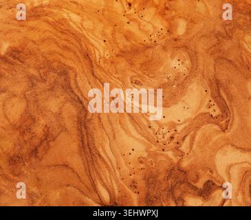 Olive Wood Texture Background, Solid Wooden Burr or Burl Pattern, Burled Wood Wallpaper, Bubinga, Afzelia Mockup with Copy Space Stock Photo