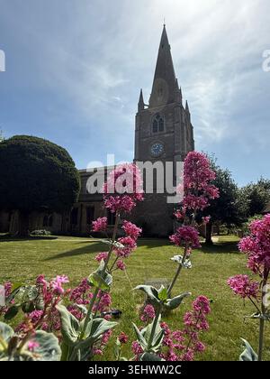 A photograph of St Mary's Church, a prominent, Grade I listed Anglican parish church located just west of Ely Cathedral in Cambridgeshire, UK Stock Photo