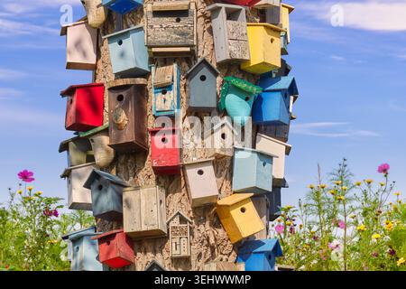 Tree with colorful different bird houses in front of blooming wild flowers and blue sky Stock Photo