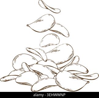 Hand drawn ink sketch of falling potato chips. Graphic illustration of crunchy snack pile. Vintage engraving style vector art for food design, menu Stock Vector
