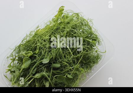 Closeup View Of Pea Microgreens Bunch In A Plastic Transparent Container On White Surface. Stock Photo For Healthy Diet Illustration Stock Photo