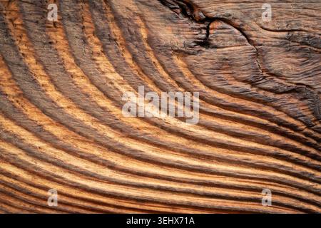 Wood knot textured background. Dark old driftwood surface, burnt wood brushing, macro vintage brown floor, grain oak timber desk close up, rustic hard Stock Photo