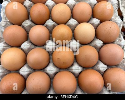 Carton of brown eggs is shown from a top-down view. The eggs are arranged neatly in a grid within a cardboard egg carton. Stock Photo