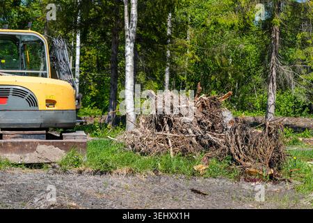 Heavy excavator and uprooted tree stumps during land clearing work in forest area prepared for development Stock Photo