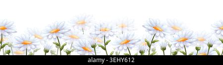 Vector seamless border with white daisies Stock Vector