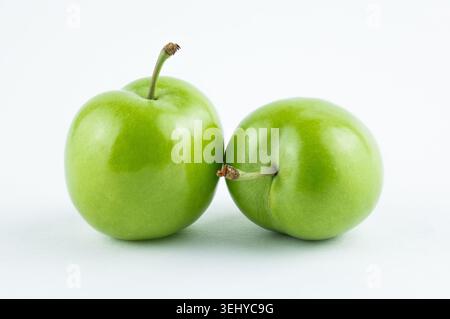 Pair of ripe green greengage plums with stems on a bright white background, studio composition Stock Photo