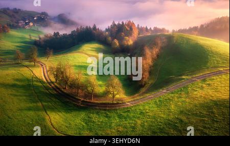 Aerial view of trees on meadow, mountains in pink low clouds Stock Photo