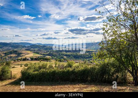 A vast panoramic view showcases the Beaujolais countryside with its rolling hills, golden fields, and small villages nestled in greenery. A tree on th Stock Photo