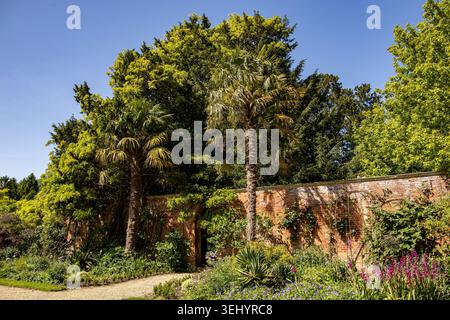 A lush botanical garden with palm trees standing behind an old brick wall in a sunlit landscape Corsham court garden Wiltshire Stock Photo