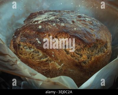 A close-up shot of a freshly baked, artisanal homemade sourdough bread loaf with a crispy golden brown crust, sitting on baking paper inside a pot. Stock Photo