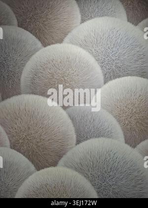 A collection of soft, fibrous spheres fills the space in various muted grey and beige tones. The spheres overlap, creating a textured pattern. This ar Stock Photo