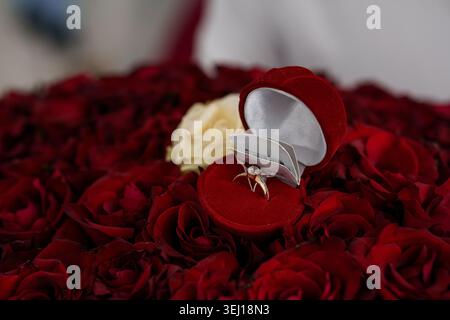 Romantic marriage proposal concept featuring a sparkling ring amidst lush crimson floral textures Stock Photo