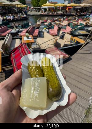 Spreewald pickled gherkins with punts in the background, Lübbenau Nature Reserve Stock Photo