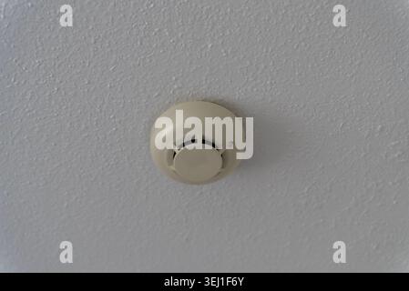 Close up of a ceiling mounted smoke detector on a white textured ceiling indoors. Home fire safety alarm device installed in residential interior. Stock Photo