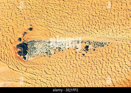 Satellite view of center-pivot irrigation fields forming green circles in a vast desert landscape. A striking abstract pattern of human agriculture su Stock Photo
