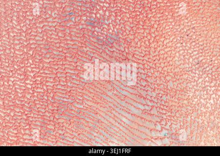 Abstract satellite view of endless pink and orange sand dunes ripples in a vast desert. A beautiful repeating natural pattern of wind erosion and dese Stock Photo