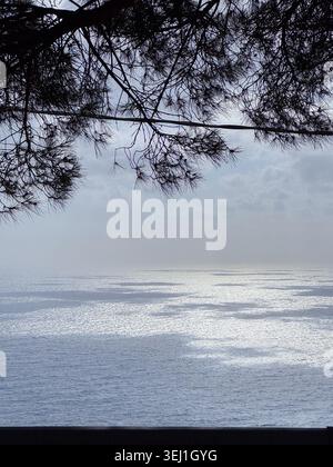 Serene ocean view framed by overhanging pine tree branches. The sunlight reflects on the water, creating a shimmering effect. The scene offers a Stock Photo