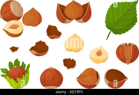 Hazelnut vector clipart set with whole nuts in shell, cracked shells, peeled kernels, halves, and green leaf. Flat illustration pack for chocolate, ca Stock Vector
