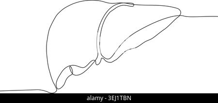 A simple one-line drawing depicting the human liver, showcasing minimalist medical art. Stock Vector