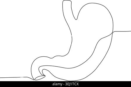 A simple line drawing depicting the human stomach, showcasing its shape and structure in a minimalist style. Stock Vector