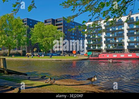 New Islington Marina in the Northern Quarter of Manchester City Centre, Greater Manchester, England. Stock Photo