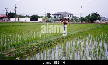 Woman balancing on a narrow path in a rural rice field, enjoying tranquility Stock Photo