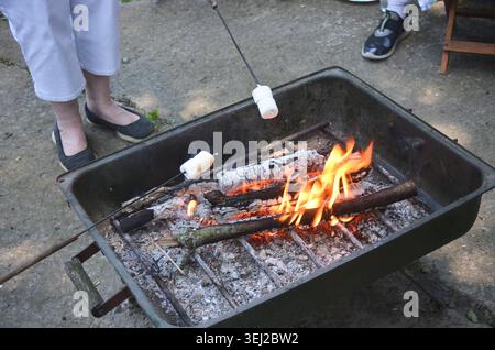People roasting marshmallows over a fire pit Stock Photo