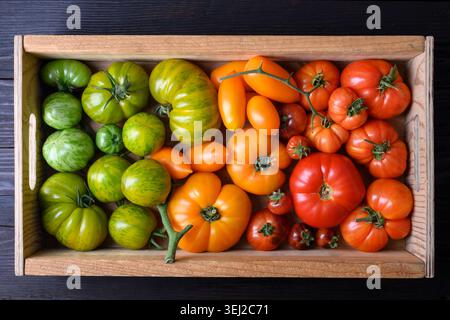 Rectangular wooden box filled with green, yellow and red tomatoes. Organic farm produce, rustic kitchen background Stock Photo