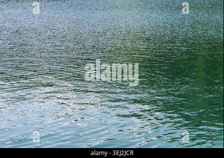 Small ripples on green lake water surface Stock Photo