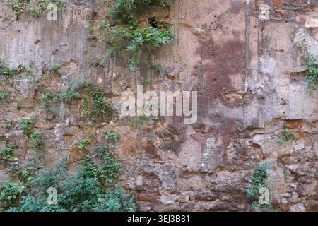 BACKGROUND TEXTURE OF AN OLD BRICK WALL WITH CRACKED PLASTER Stock Photo