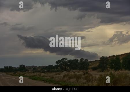 Dramatic Storm Clouds Forming Over Kalahari Landscape 17248 Stock Photo
