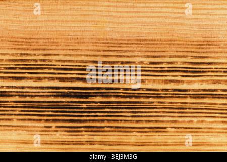 Background texture from burned brown pine wood Stock Photo