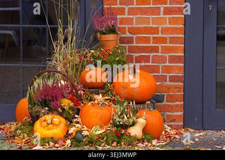 Autumn composition of different types of pumpkins, heather in pots and baskets, dried herbs, moss and autumn leaves. High quality photo Stock Photo