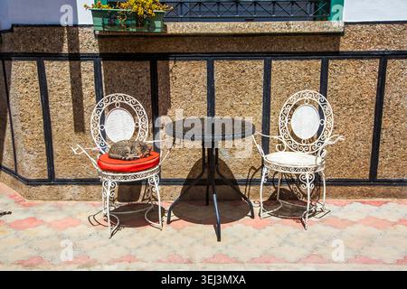 Ayvalik - Turkey, May 17, 2026, Cute Cat Sleeping on White Iron Chair of a Cozy Cafe on Cunda Island Stock Photo