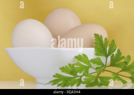 Eggs, Three eggs in the bowl on a yellow background Stock Photo