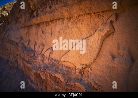 Sandstone Wall Carvings of Birds at Little Mount Rushmore in Mesquite Nevada Stock Photo