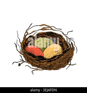 Bird nest with eggs. Easter hand drawn vector illustration, template design Stock Vector