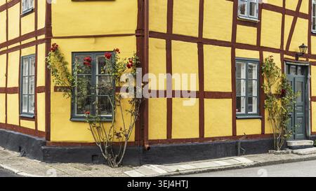 Scenic street view with red roses growing along half-timbered yellow houses in picturesque town Ystad, Skane lan at South coast of Sweden Stock Photo