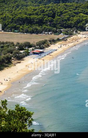 Vieste - Apulia - Italy - 08-29-2025: Elevated view of a sandy beach with turquoise sea, small surf lines, rows of umbrellas and loungers, and dense p Stock Photo