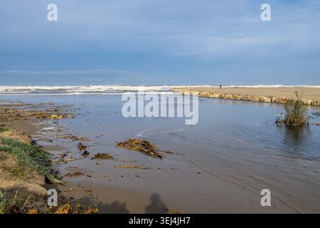 River mouth flowing into sea with wet sand, plants along banks, stone wall protection, waves in distance, person walking on shore Stock Photo